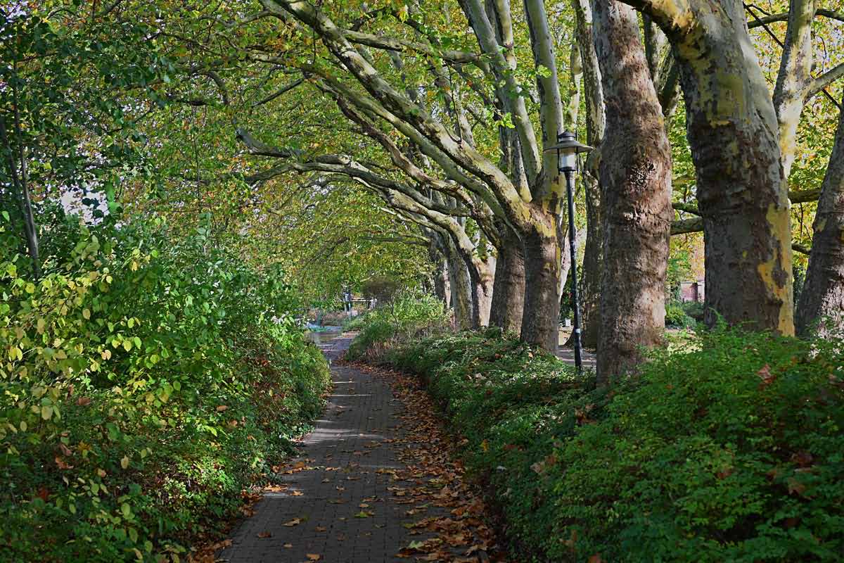 Uelzen-3.jpg