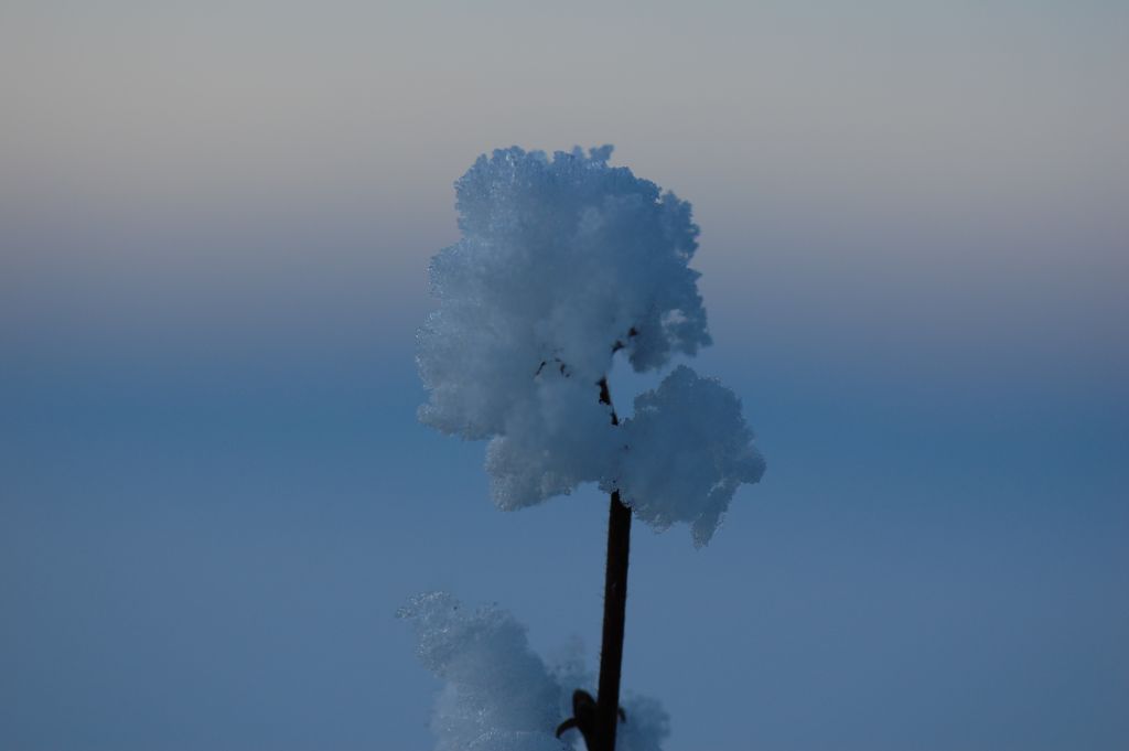 Uetliberg früh am Morgen.. eisig kalt.