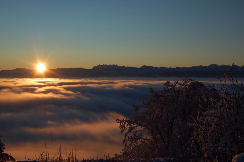 Uetliberg früh am Morgen.. eisig kalt.