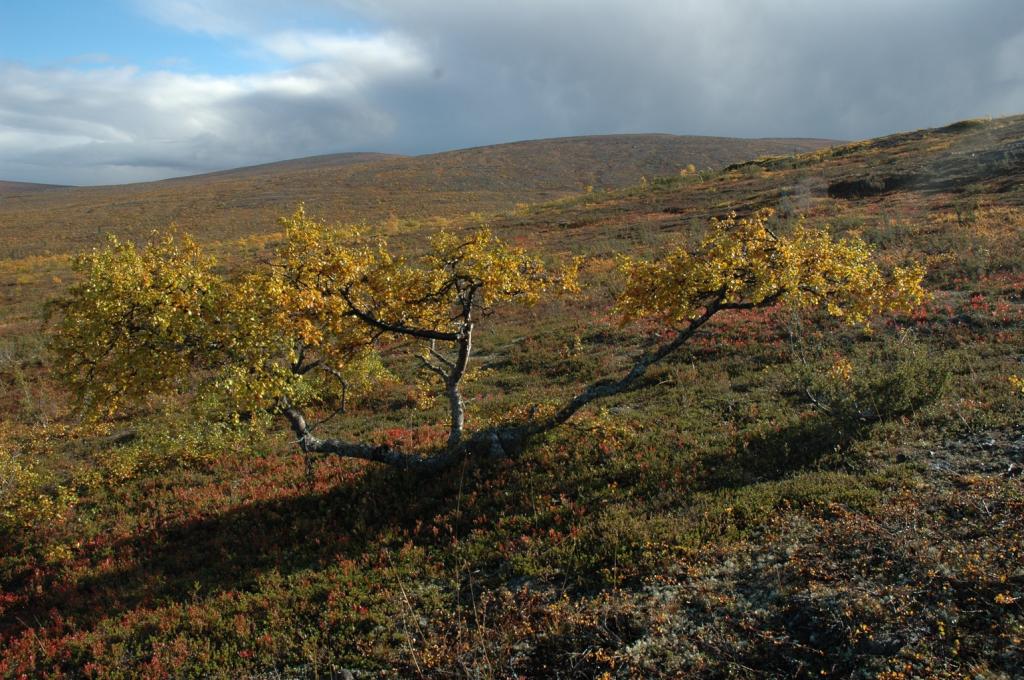 UKK Nationalpark 2