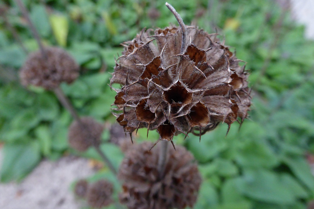 Unbewohnt