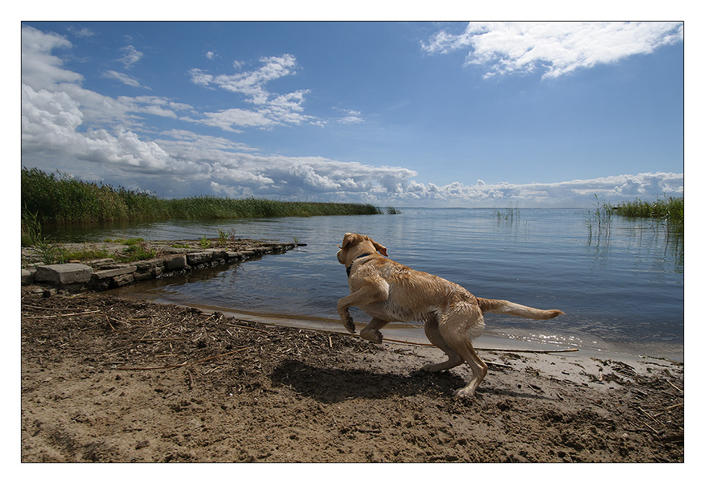 und ab ins Wasser