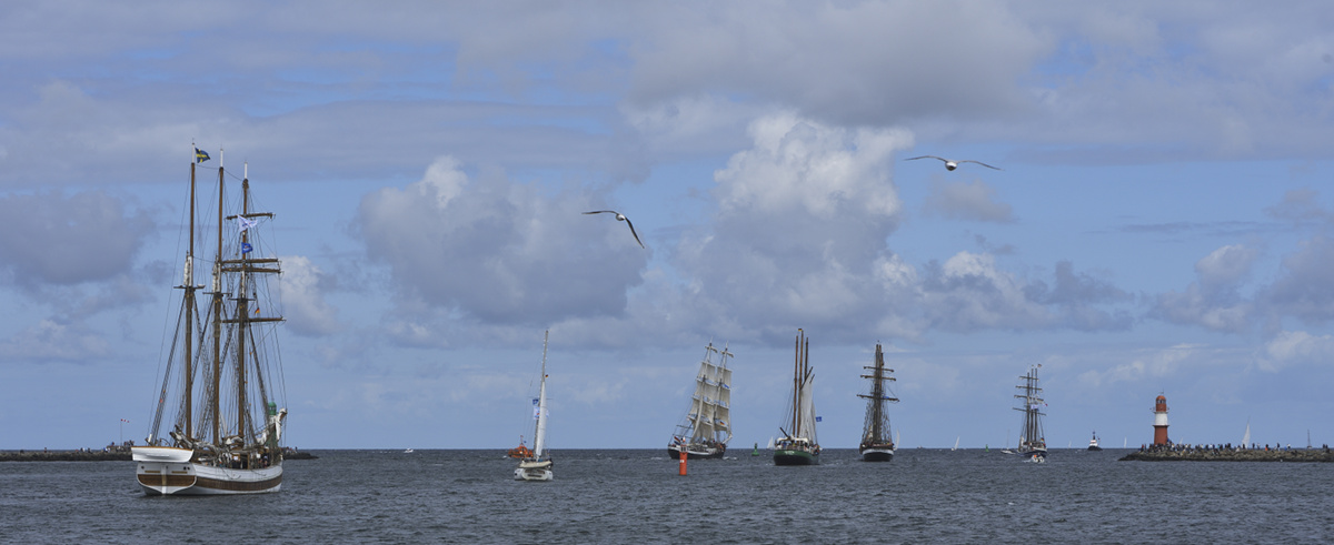 und schließlich laufen sie alle aus - und die Möwen segeln mit ihnen dahin...