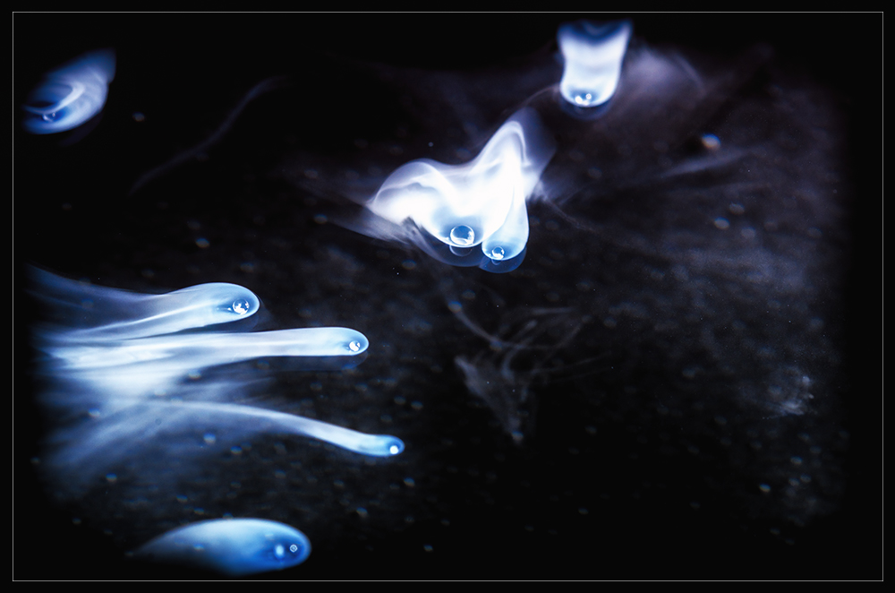 Universum1