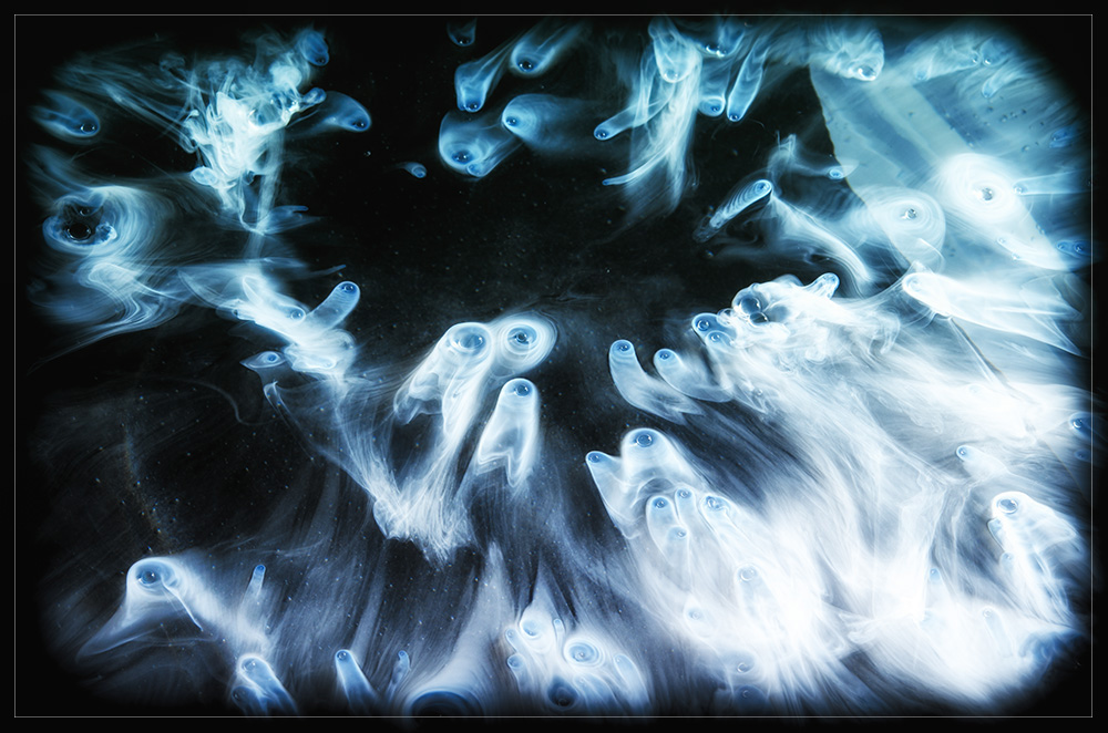 Universum4