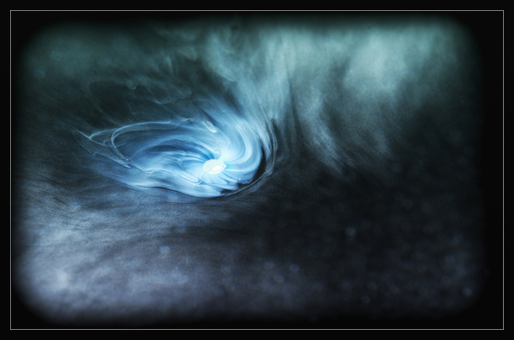 Universum7