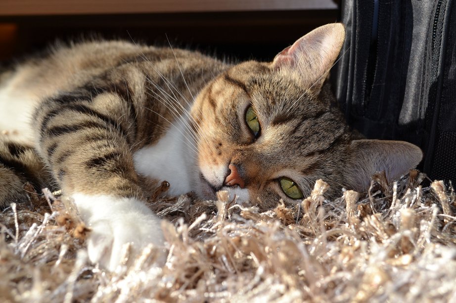 Unsere Luna