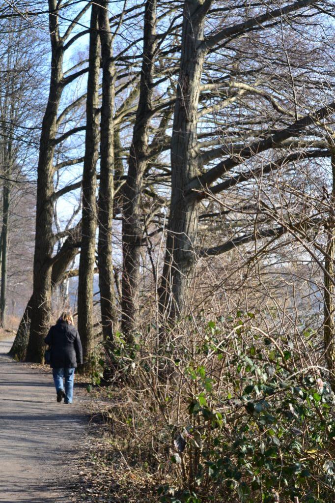 Unterbacher See 038 01
