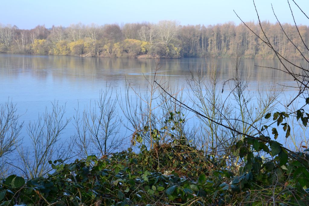 Unterbacher See 050 01