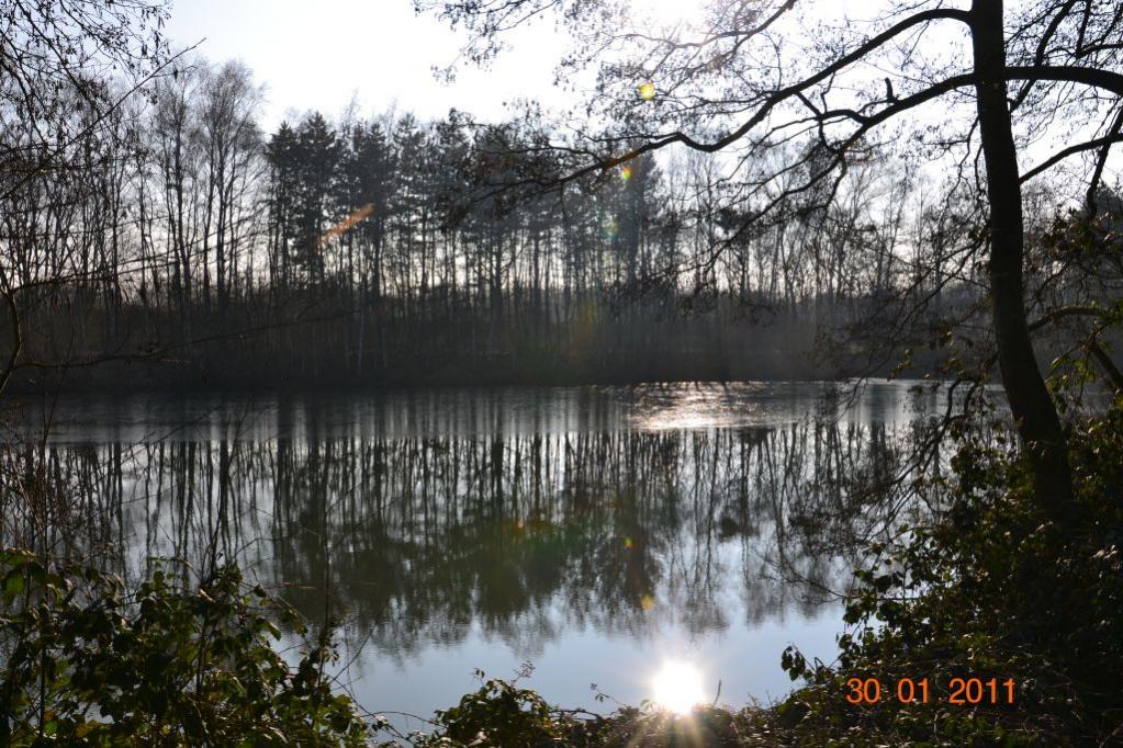 Unterbacher See 056 01