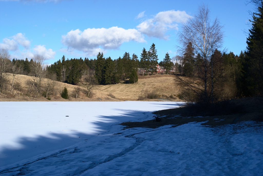 Unterer Eschenbacher Teich