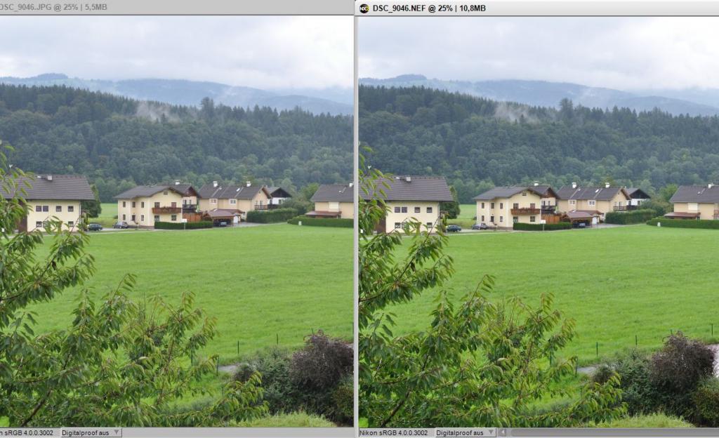 unterschied raw jpg