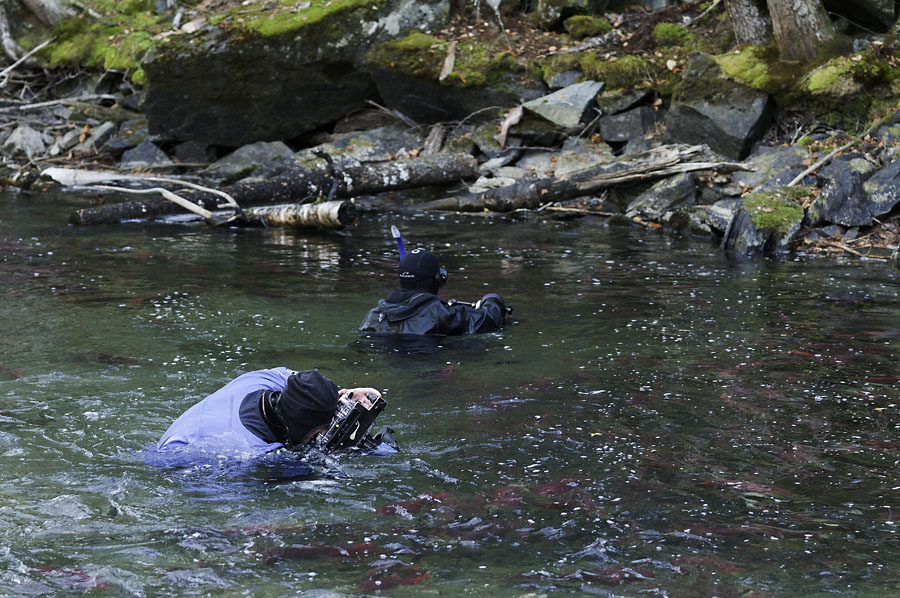 Unterwasserfotografen