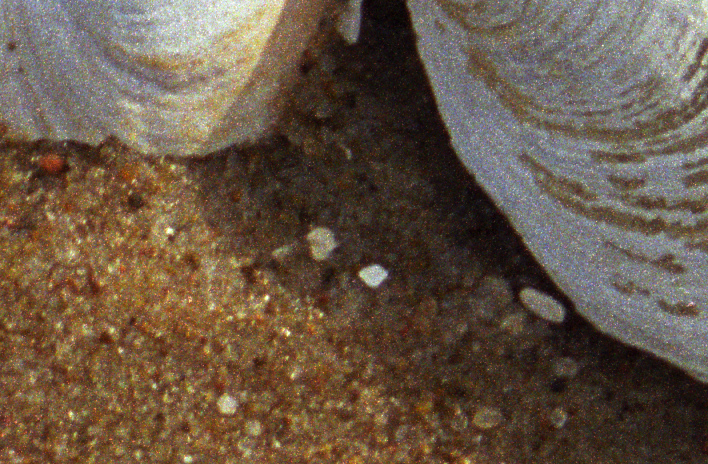 Untitled 1 crop