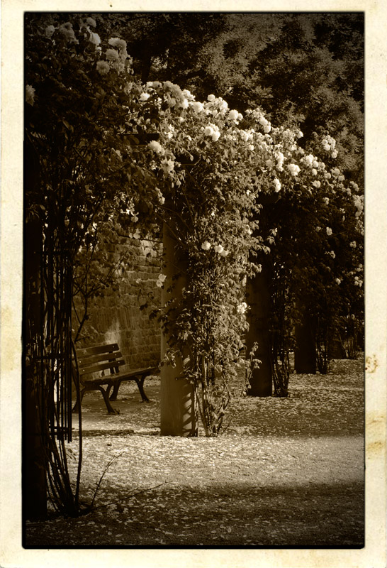 Untitled 3a