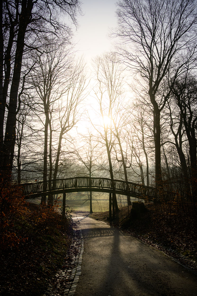 Untitled-6.jpg