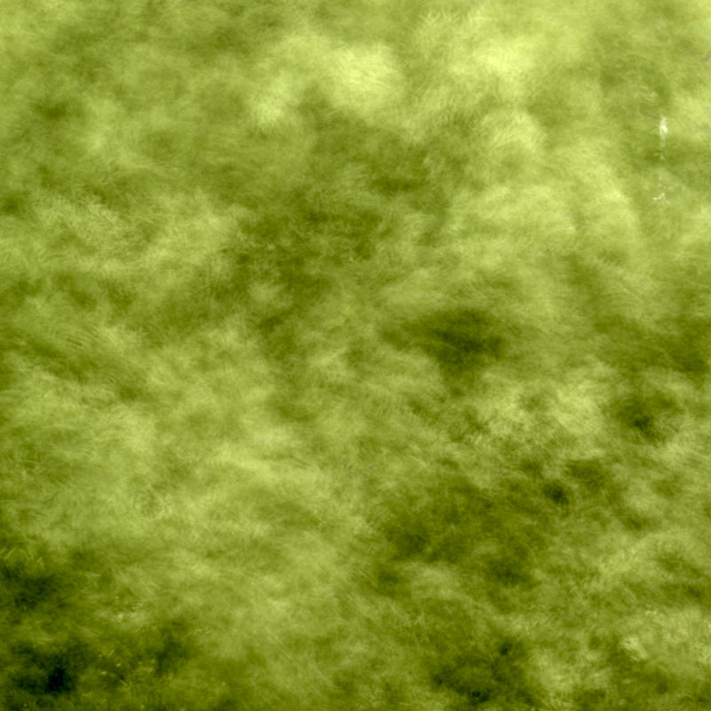 Untitled HDR