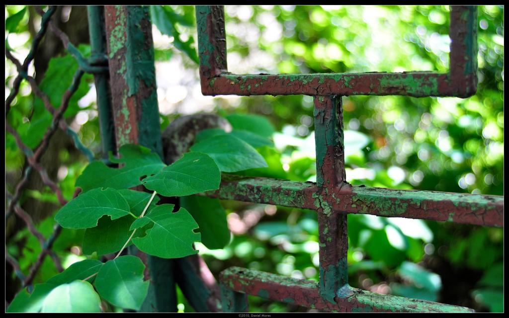 Urban Jungle
Ort: Wien 19