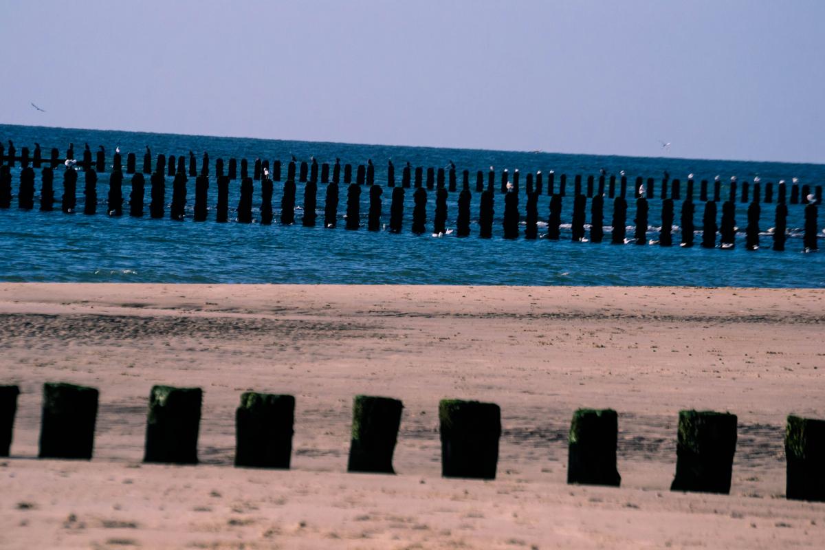 Urlaub Holland 2017 7703