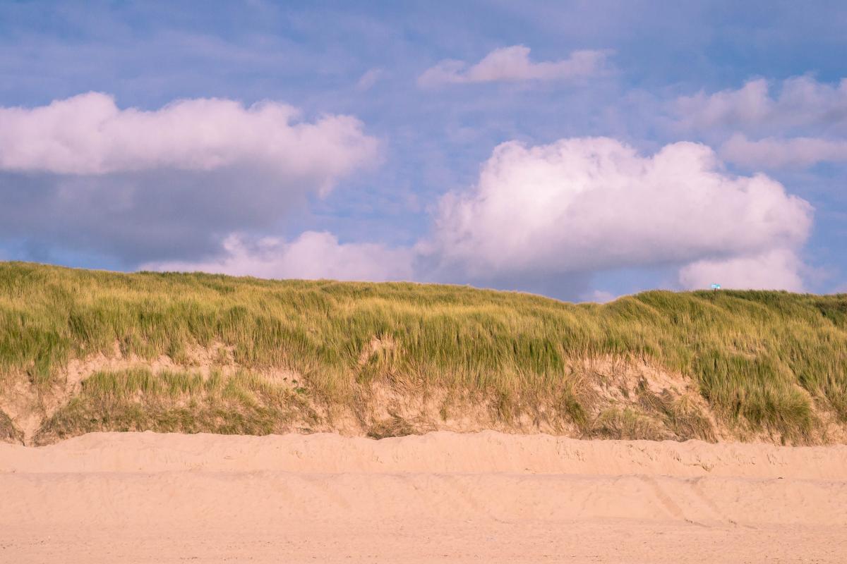 Urlaub Holland 2017 7757