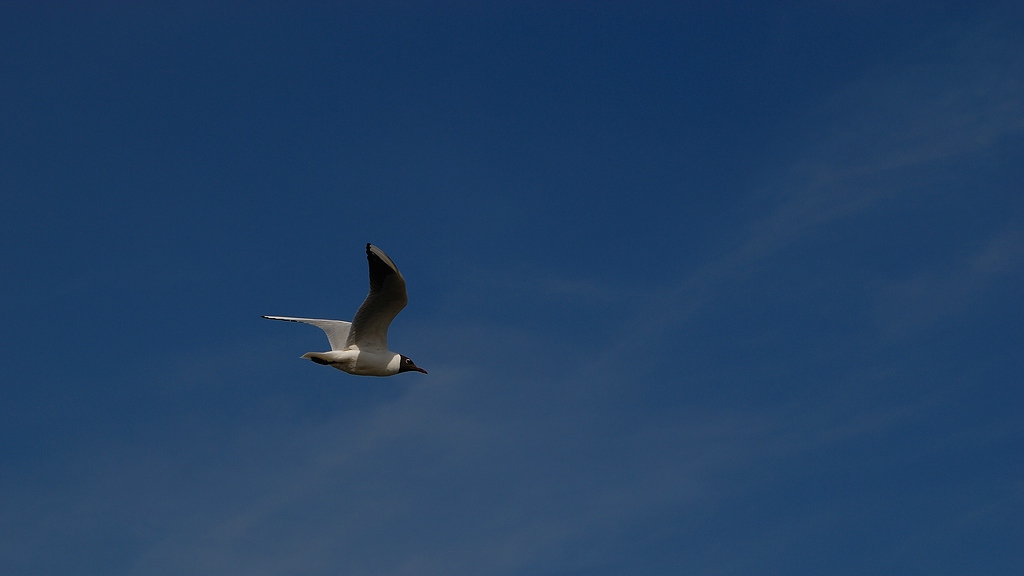 Urlaub Usedom