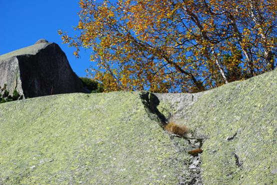 Urner Granit