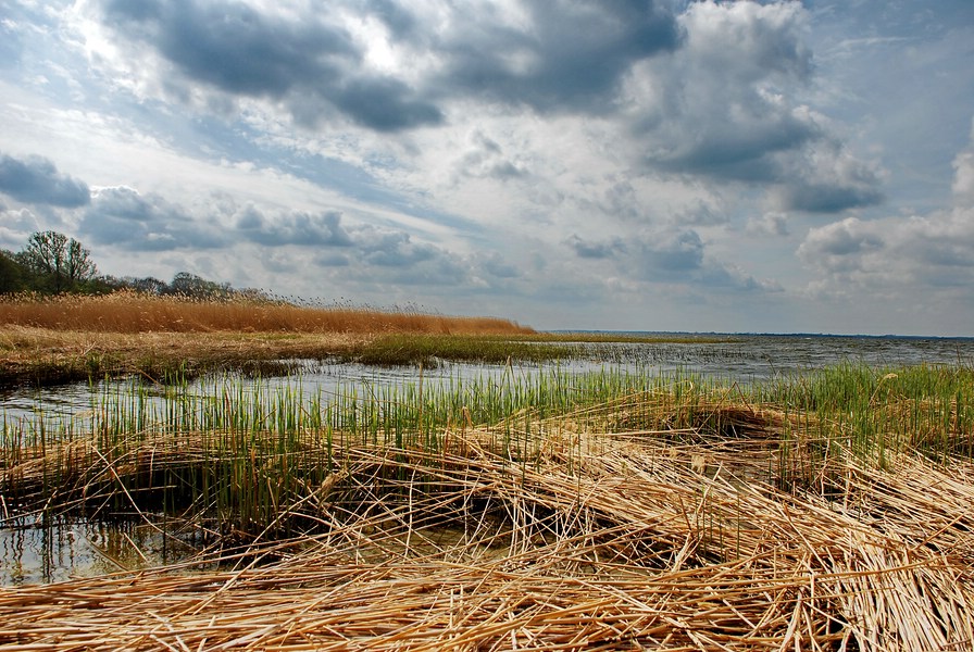 Usedom 00