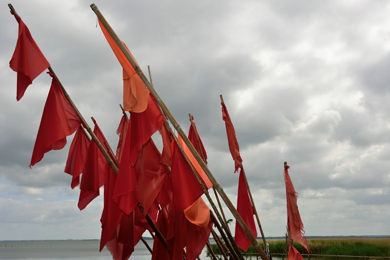 Usedom 008
