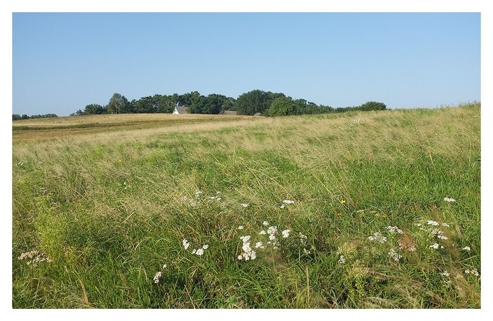 Usedom 2011