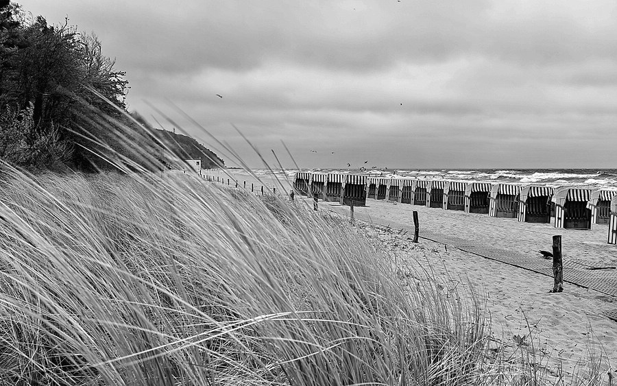 Usedom 25