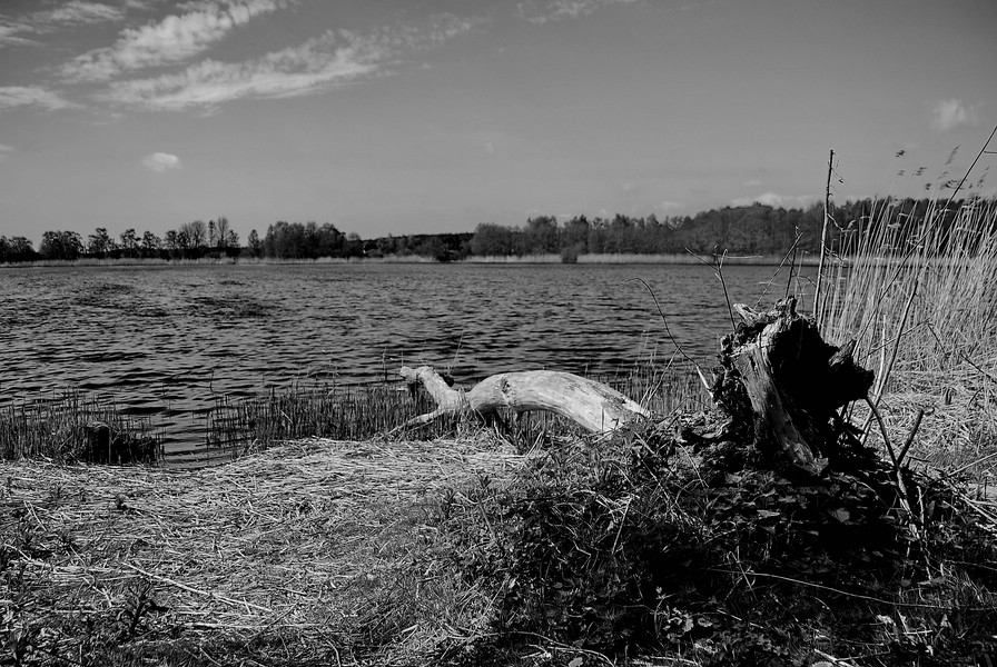 Usedom 27