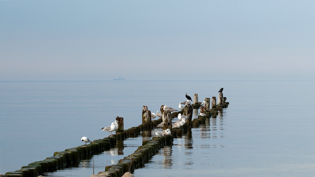 Usedom DSC 3307