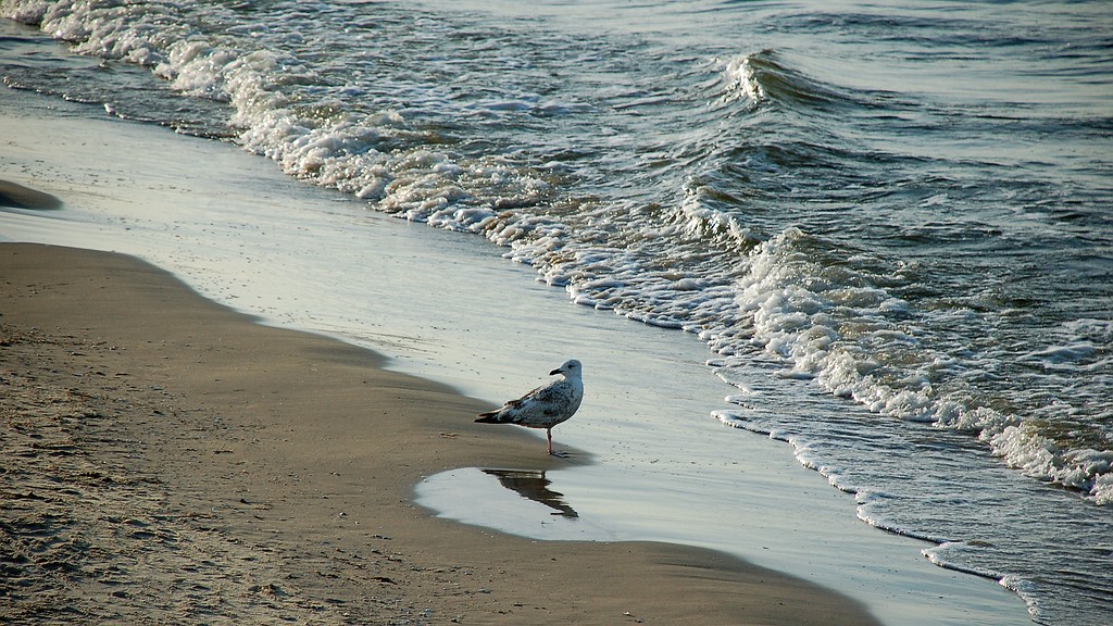 Usedom DSC 3379
