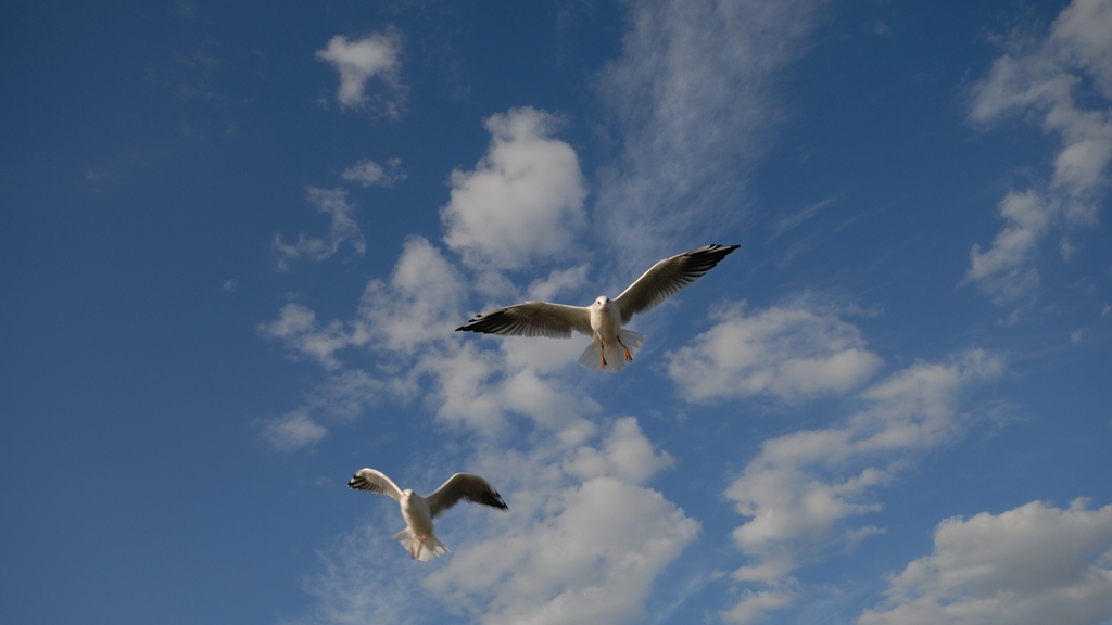 Usedom DSC 5571