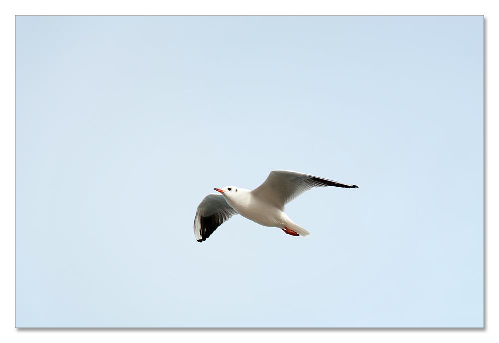 usedom10