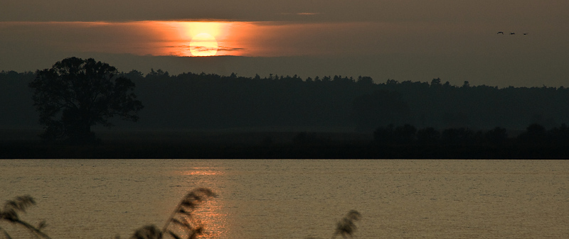 Usedom3