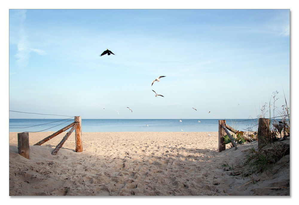 usedom9