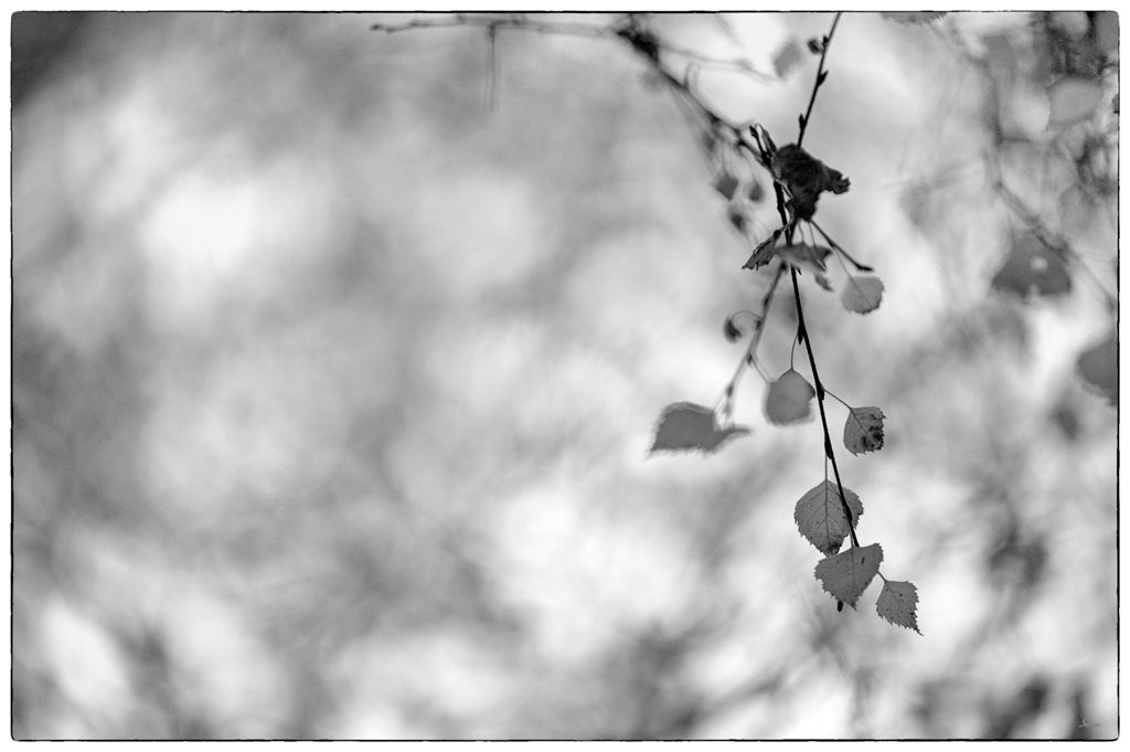 UsedomDSC 7581