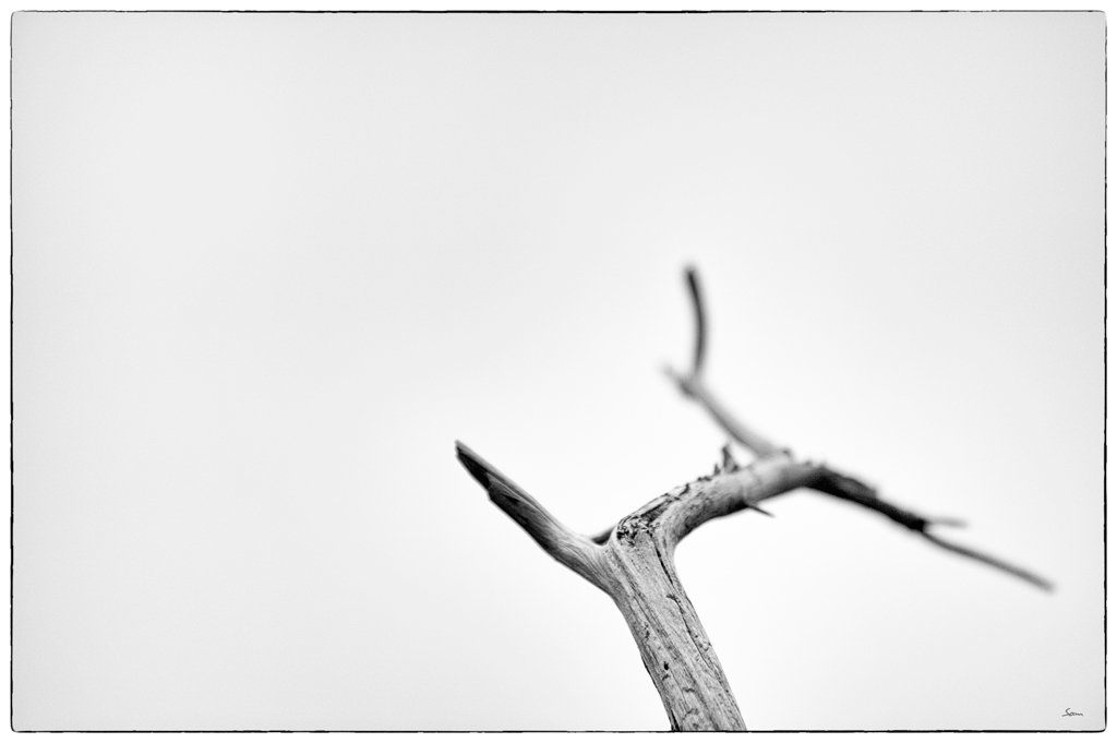 UsedomDSC 7590