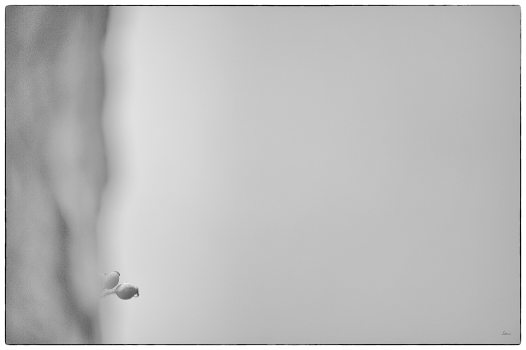 UsedomDSC 7592