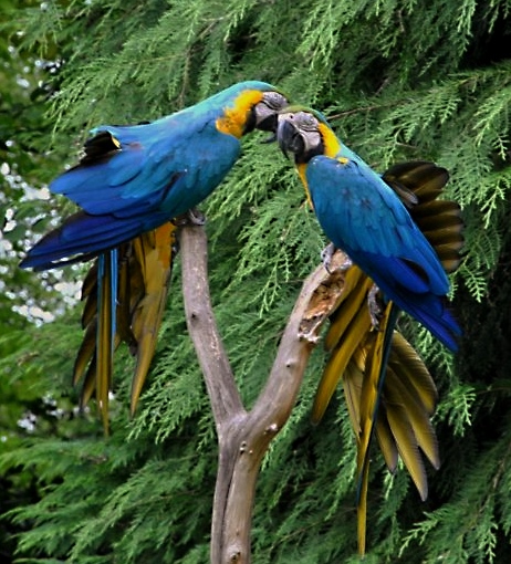 user94763 pic433671 1408998385 ji