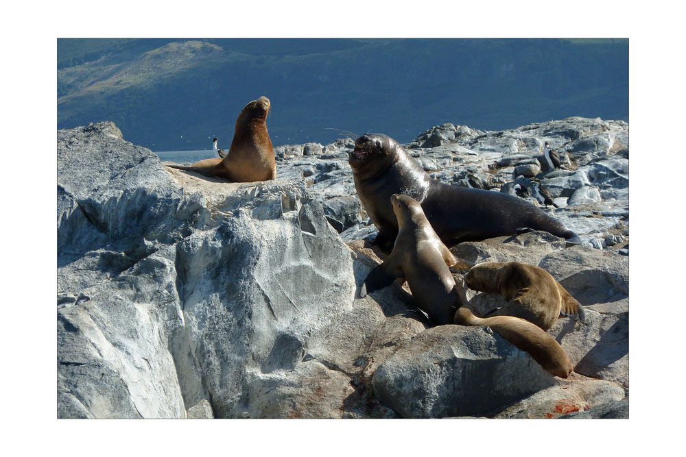 Ushuaia