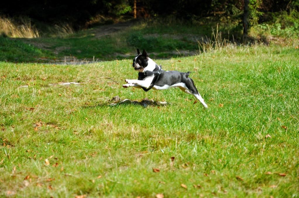 Uuuuuund hopp!