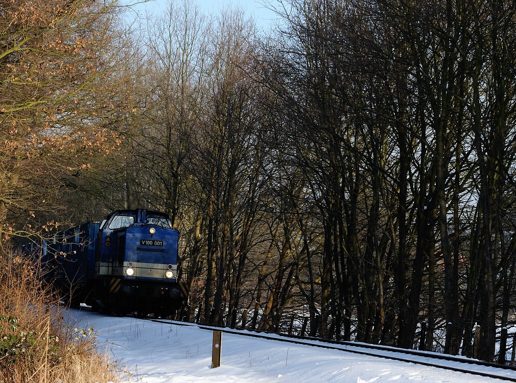 V100 im Wald