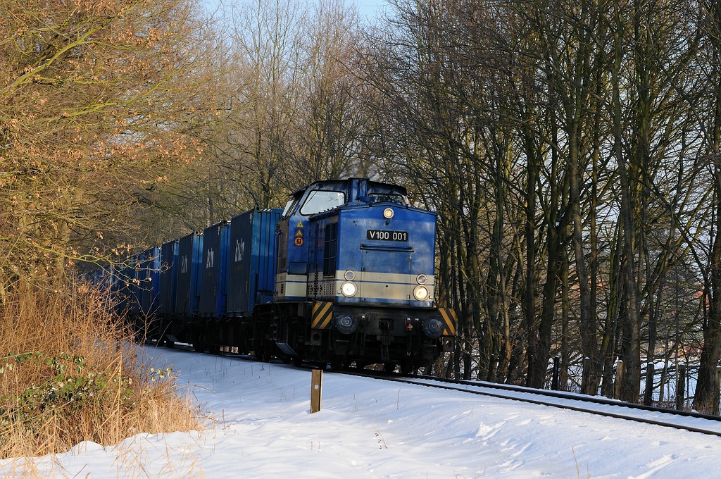 V100 im Wald2