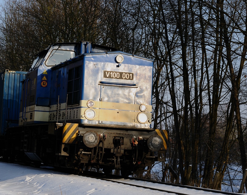 V100 im Wald4