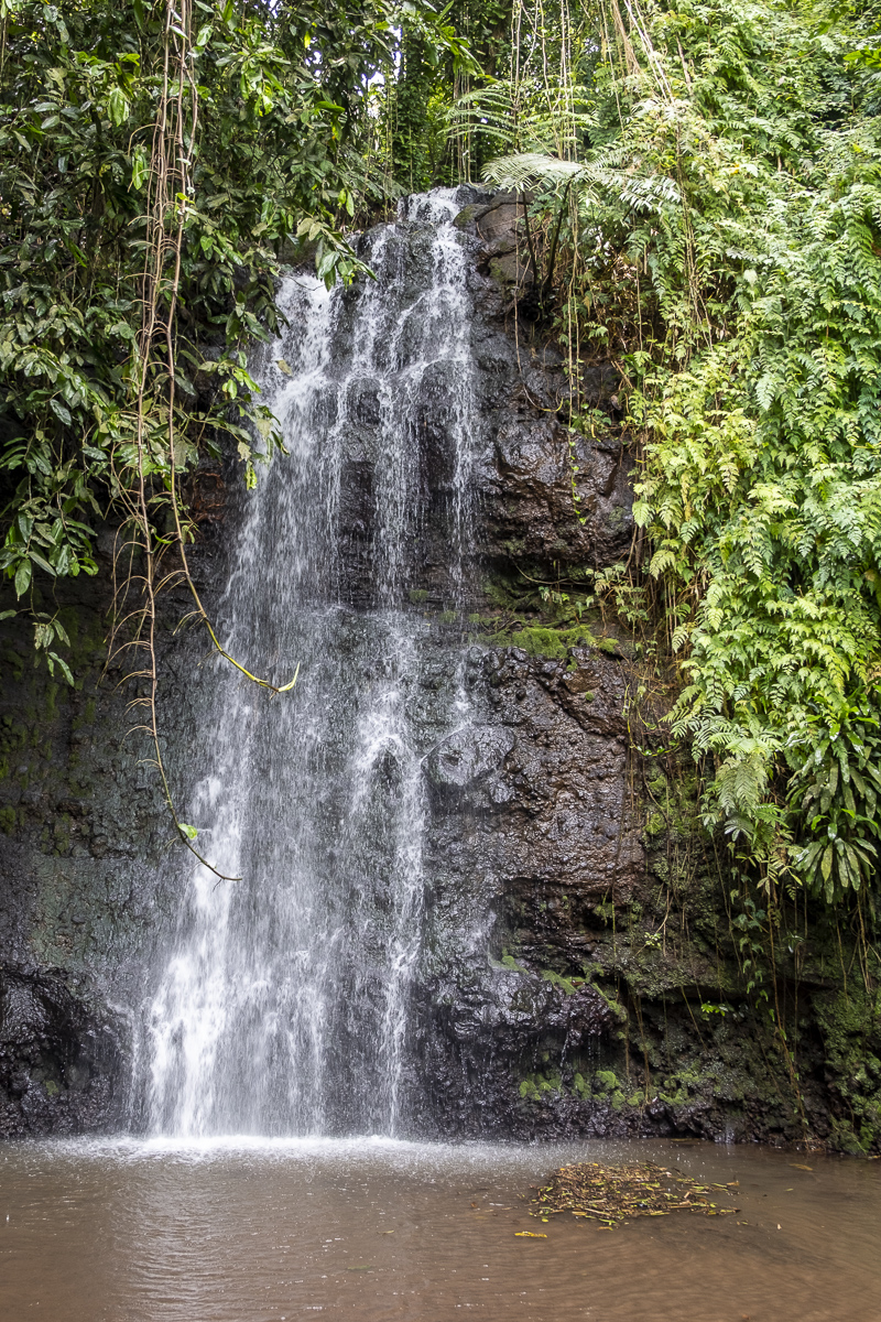 Vaipahi Wasserfall Tahiti.jpg