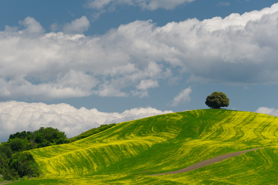 Val d'Orcia