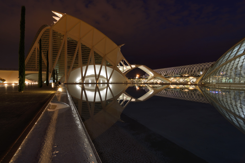 Valencia City of Arts and Science 2013