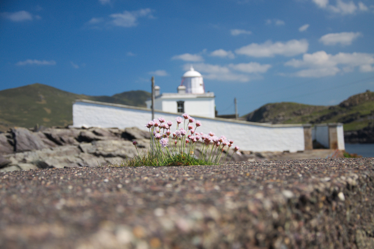 Valentia Lighthouse at Cromwell Point